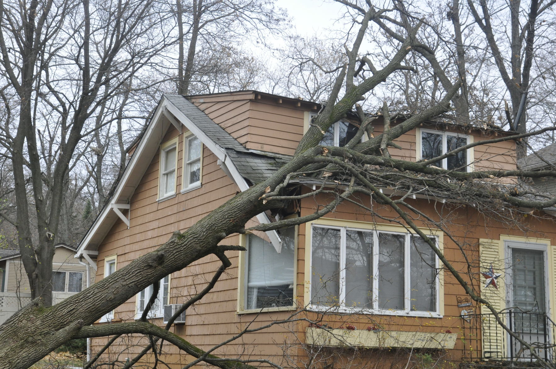 Roof damage from tree